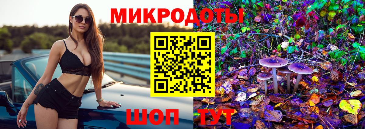 Псилоцибиновые грибы GOLDEN TEACHER  Вход с VPN  Ахтубинск 