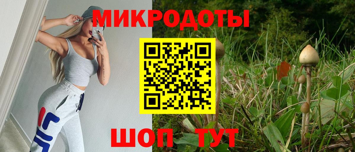 Галлюциногенные грибы Magic Shrooms Ахтубинск